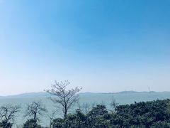 -苏州吴中太湖旅游区