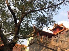 -深圳仙湖植物园
