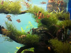 -多彩贵州城极地海洋世界