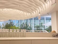 -大树餐厅(红旗街万达店)