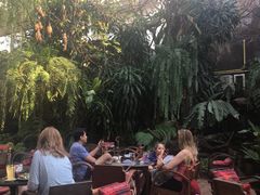 -Fern Forest Cafe