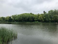 -新江湾城公园