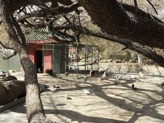 -宗角禄康公园