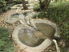 -活水公园