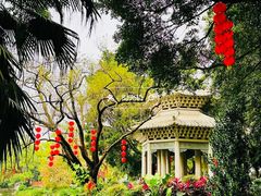 -荔湾湖公园