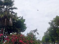 -海沧湾公园