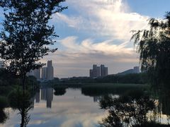 -前关湿地公园