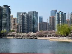 -西北湖绿化广场