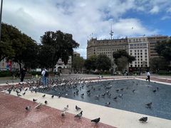 -加泰罗尼亚广场