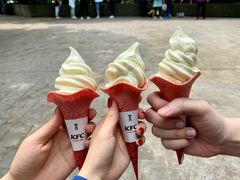 -紫金山山顶公园