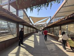 -合肥野生动物园