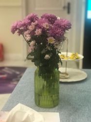 -静博士·养生养颜