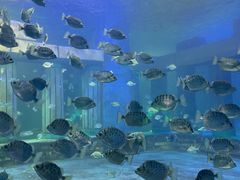 -同至人购物中心(朝阳街店)