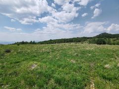 -白草畔自然风景区