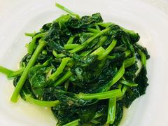 清炒豌豆尖-云腾食府·云南菜