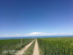 -青海湖国家重点风景名胜区