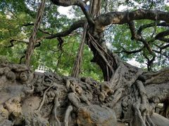 -小洲村