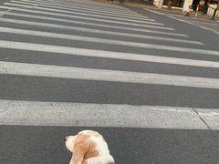 -阿姐小菜(三林店)