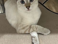 -嘉馨宠物医院·CT影像转诊·心脏科·犬猫全科诊疗中心(下沙大学城院区)