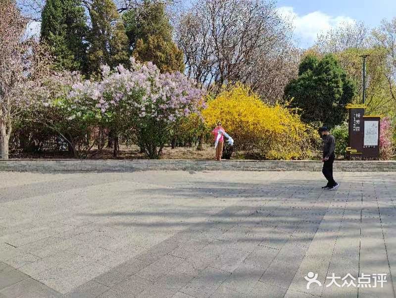 沈阳南湖公园图片