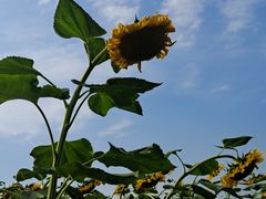 -徐记海鲜(曲江南湖店)