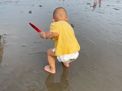 -奉贤海滩