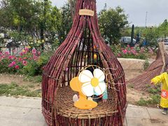 -北京西山国家森林公园