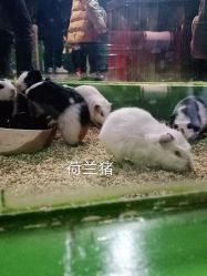 -未来动物城动物主题公园(大悦城店)