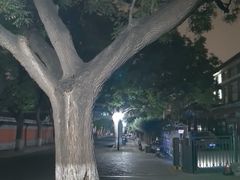 -北京国子监胡同