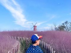 -羊亭河湿地公园