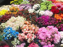 -双季花艺园艺市场(浦东店)
