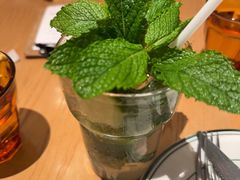 -O'eat Blossom&Pelican(深圳首店)