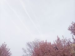 -民园广场
