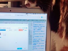 -小时光咖啡馆(开森度假森林店)