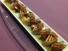 -常州环球恐龙城维景国际大酒店