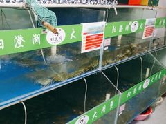 -阳澄湖大闸蟹·琼灵阁牌品牌连锁(吴中总店)