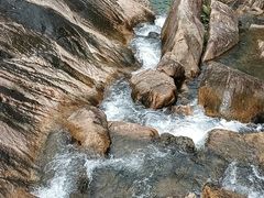 -广州白江湖森林公园