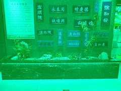 -六合居·邯郸菜·武安菜起源地