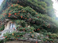 -星巴克(宁波老外滩店)