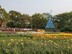 -无锡梅园公园