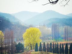 -棒棰岛宾馆景区