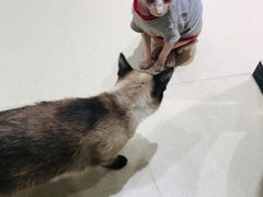 -藏猫猫咖啡主题馆(中央大道店)