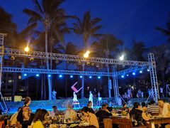 -渔家火锅·海鲜自助餐·演艺(亚龙湾天域酒店)