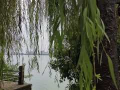 -艾溪湖湿地公园