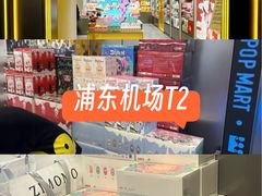 -上海浦东国际机场-T2航站楼