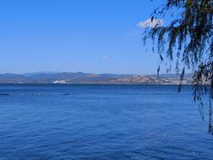 -洱海月湿地公园