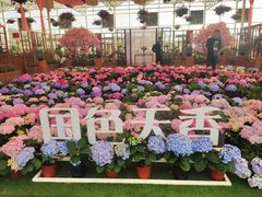 -盈香心动乐园