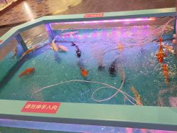 -卡通尼乐园(重庆南坪协信星光店)