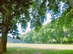 -河南省黄河迎宾馆