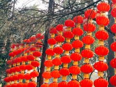 -房湖公园